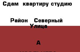 Сдам  квартиру студию  › Район ­ Северный › Улица ­ А. УСОЛЬЦЕВА  › Дом ­ 15 › Этажность дома ­ 17 › Цена ­ 17 000 - Ханты-Мансийский, Сургут г. Недвижимость » Квартиры аренда   . Ханты-Мансийский